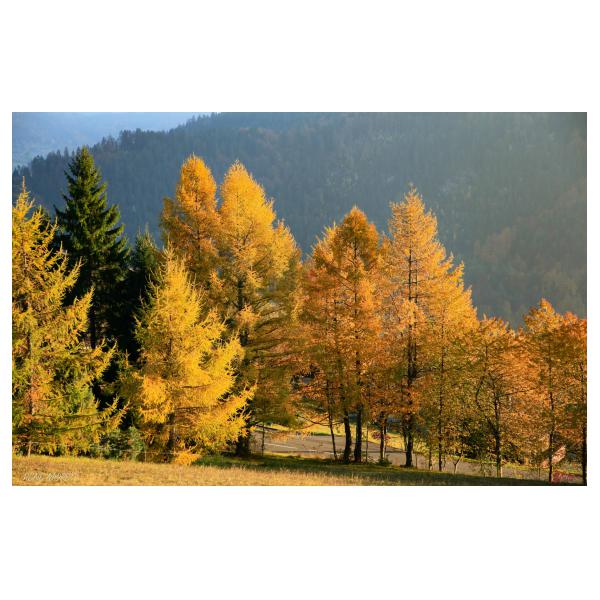 PHOTO84, CLUB, 84 , LUBERON